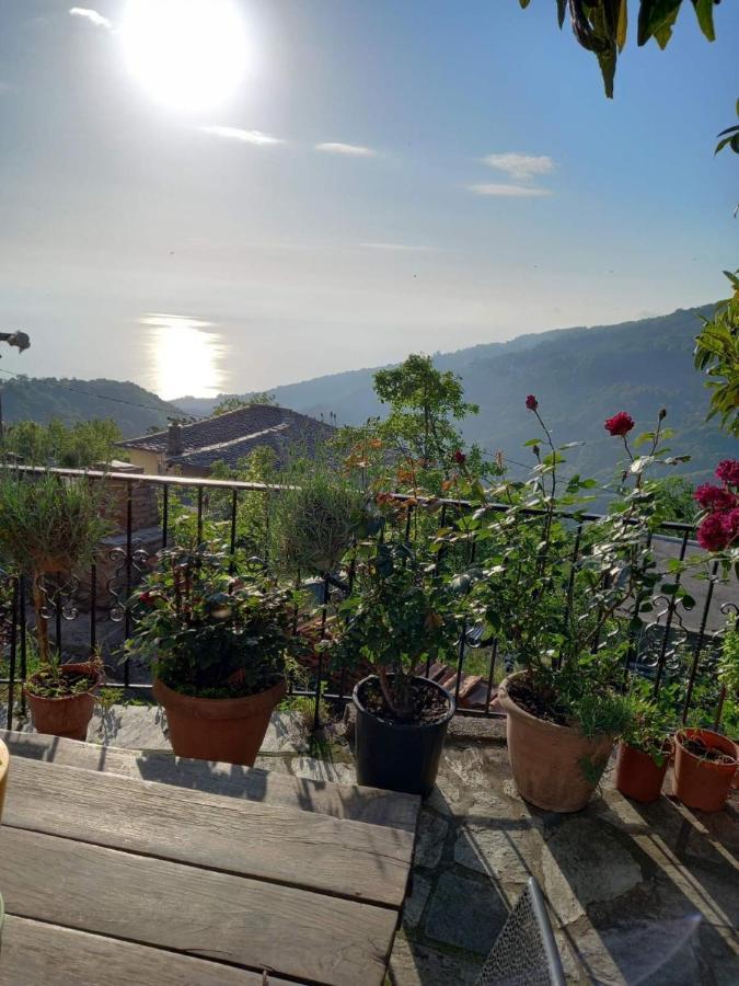 Orizontas Pilio Villa كيسوس المظهر الخارجي الصورة